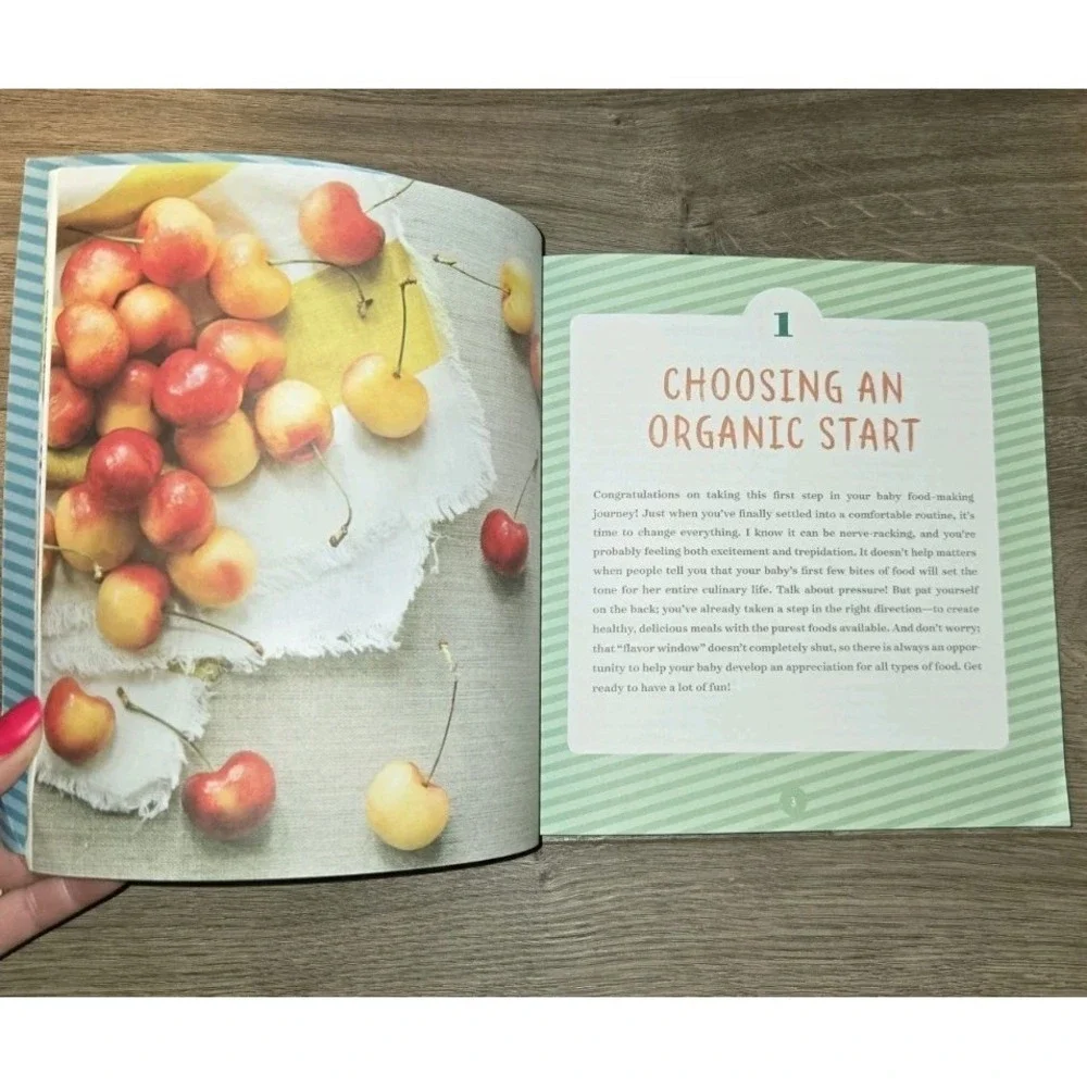 Big Book of Organic Baby Food : Baby Purées, Finger Foods, and Toddler Meals